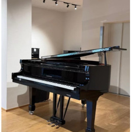 W.Hoffmann P-162 Silver Edition von 2013 in Schwarz glänzend