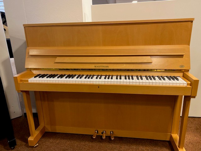 Hoffmann 117 von 1989 in Buche matt