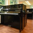 - Andere Marke - Fridolin Schimmel F121T von 2019 in Schwarz glänzend