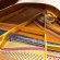 Pleyel 174T (by Schimmel) von 1975 in Nussbaum matt