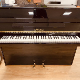 - Andere Marke - Rohlfing 99 "Mini" von 2002 in Schwarz glänzend