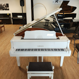 Yamaha GB1 von 2019 in Weiß glänzend