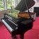 Schimmel F 156 Tradition von 24 in Schwarz glänzend