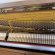 Grotrian-Steinweg 124 von 1990 in Nussbaum matt