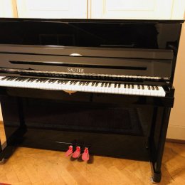 Sauter 122 Vista von 2001 in Schwarz glänzend