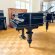 C. Bechstein 200cm von 1881 in Schwarz glänzend