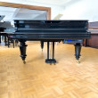 C. Bechstein 200cm von 1881 in Schwarz glänzend