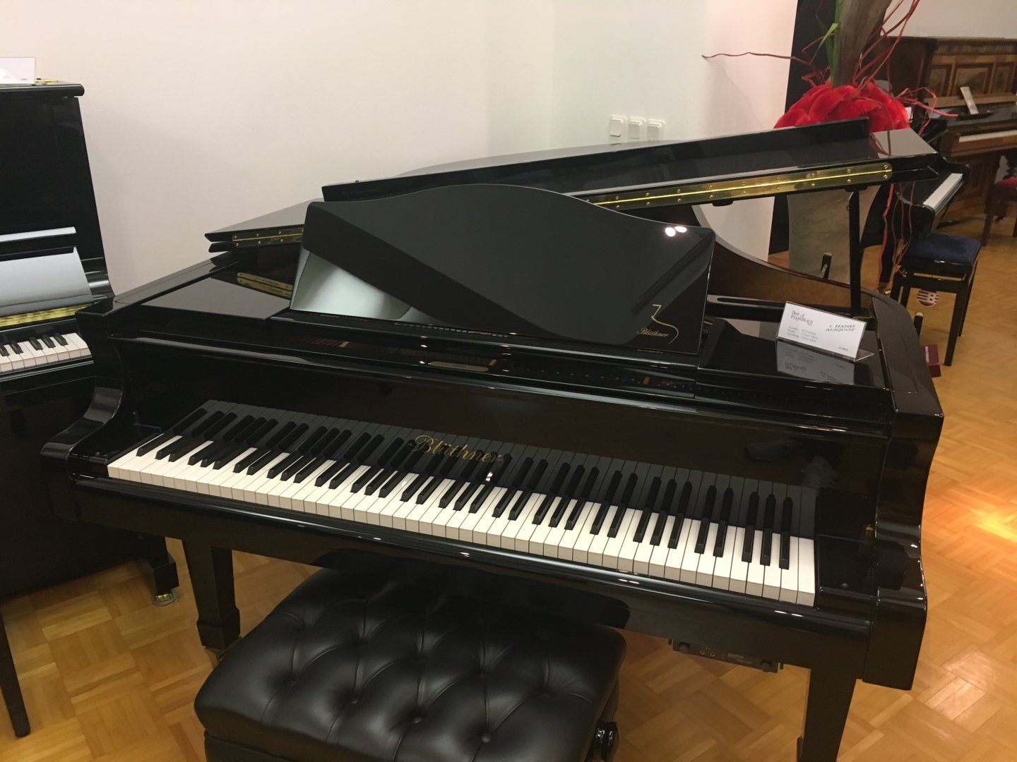 Bluthner Flugel 210 Modell 4 Gebraucht Von Das Pianohaus Kdh Wetzlar Klavierwunsch