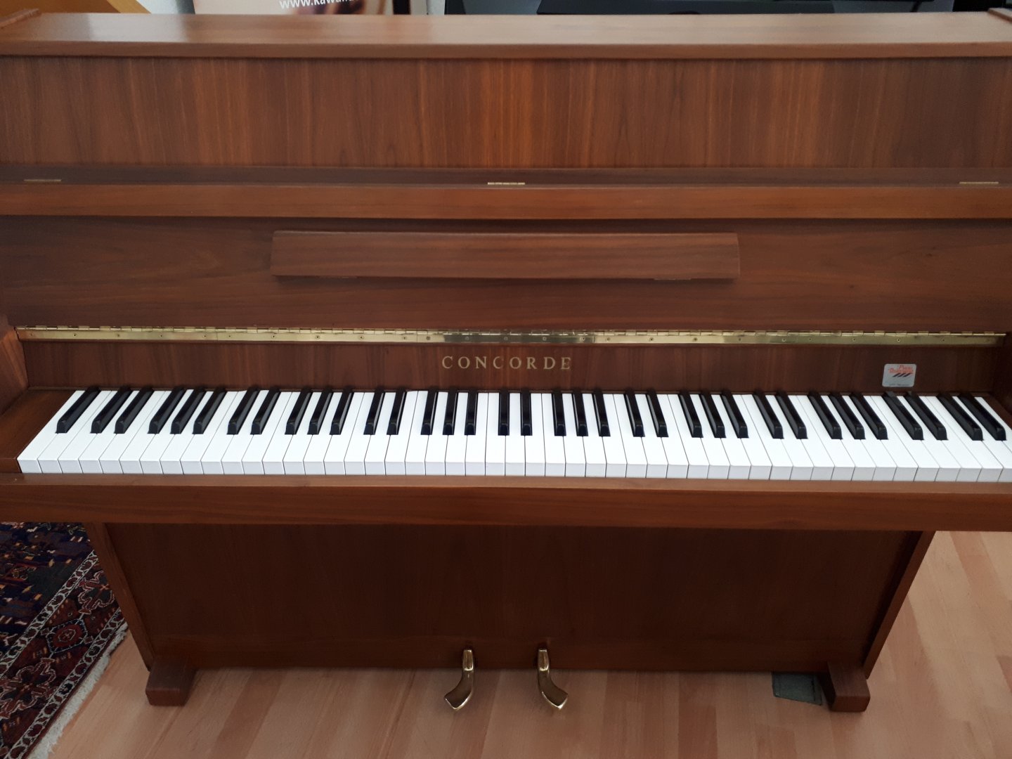 - Andere Marke - CONCORDE U-109 von 1983 in Holz matt
