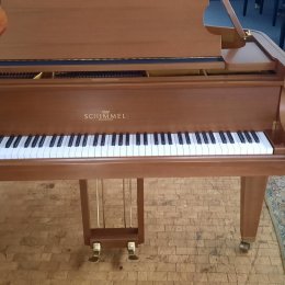 Wilhelm Schimmel 174 T von 1981 in Nussbaum matt