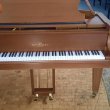 Wilhelm Schimmel 174 T neuer Preis nur € 7.999,-- von 1981 in Nussbaum matt