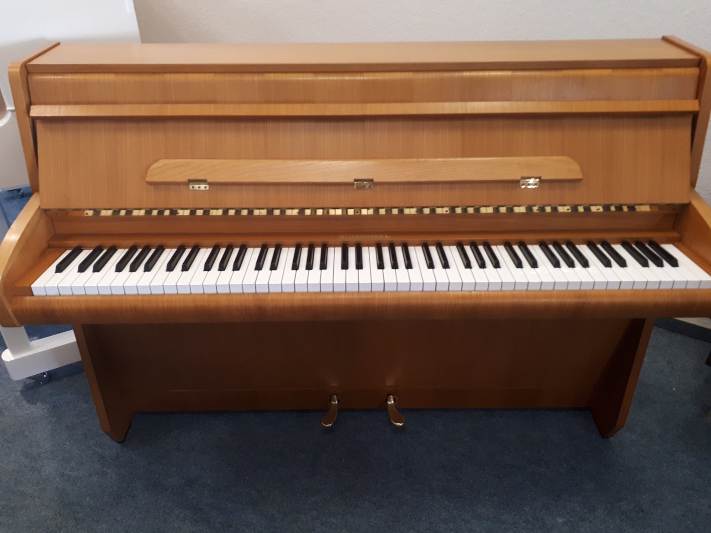 Schimmel 7 Capriccio von 1668 in Holz matt