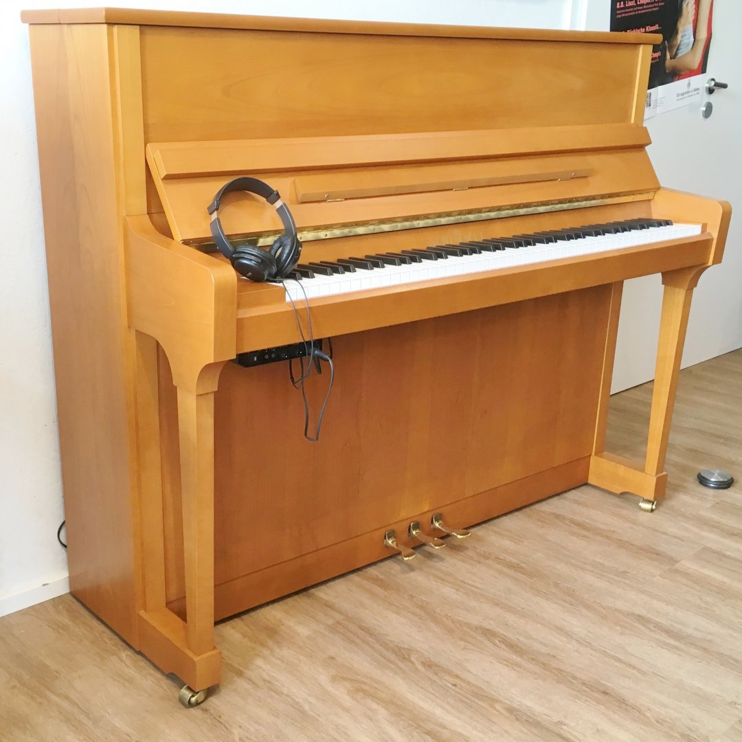 Schimmel 120T Moontime (Silent) von 2010 in Kirschbaum matt