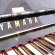 Yamaha U1 TransAcoustic von 2021 in Schwarz glänzend
