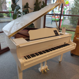 Yamaha GB1 weiß poliert - B-Ware von 2024 in Weiß glänzend