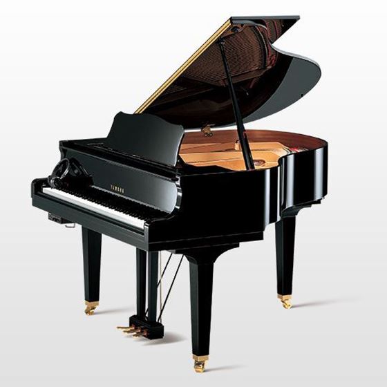 Yamaha DGB1 EN von 2021 in Schwarz glänzend
